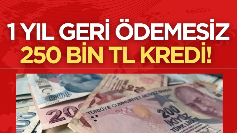 Halkbank 150 Bin TL Nakit Desteği: 2026 Güncel Faiz ve Başvuru